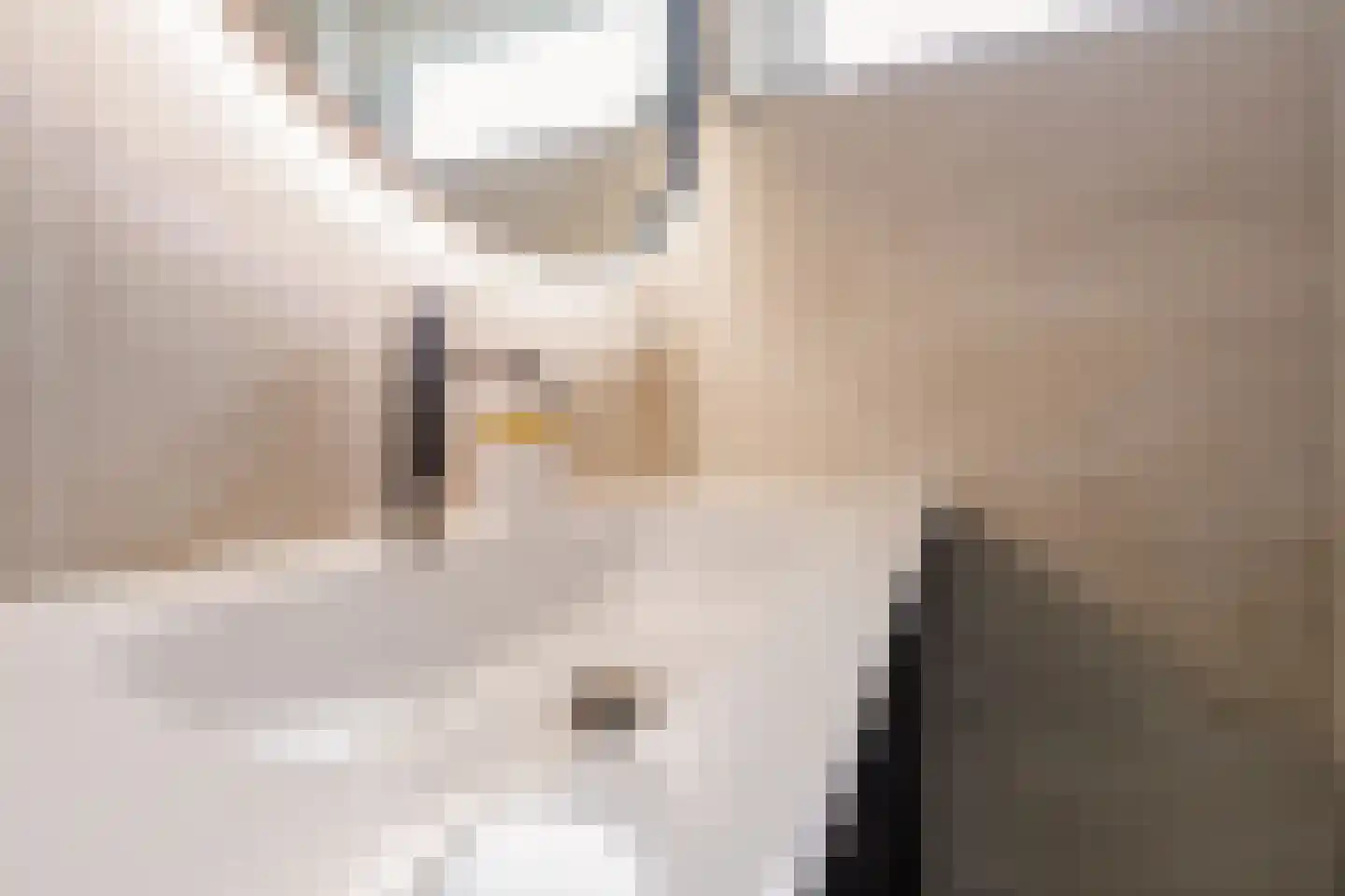 Schepenlaan 4 Mijnsheerenland thumbnail 22