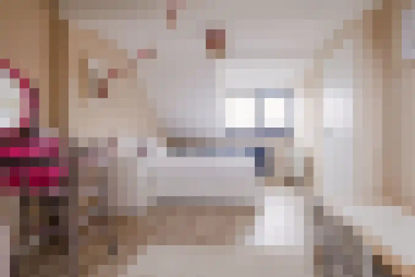 Schepenlaan 4 Mijnsheerenland thumbnail 28