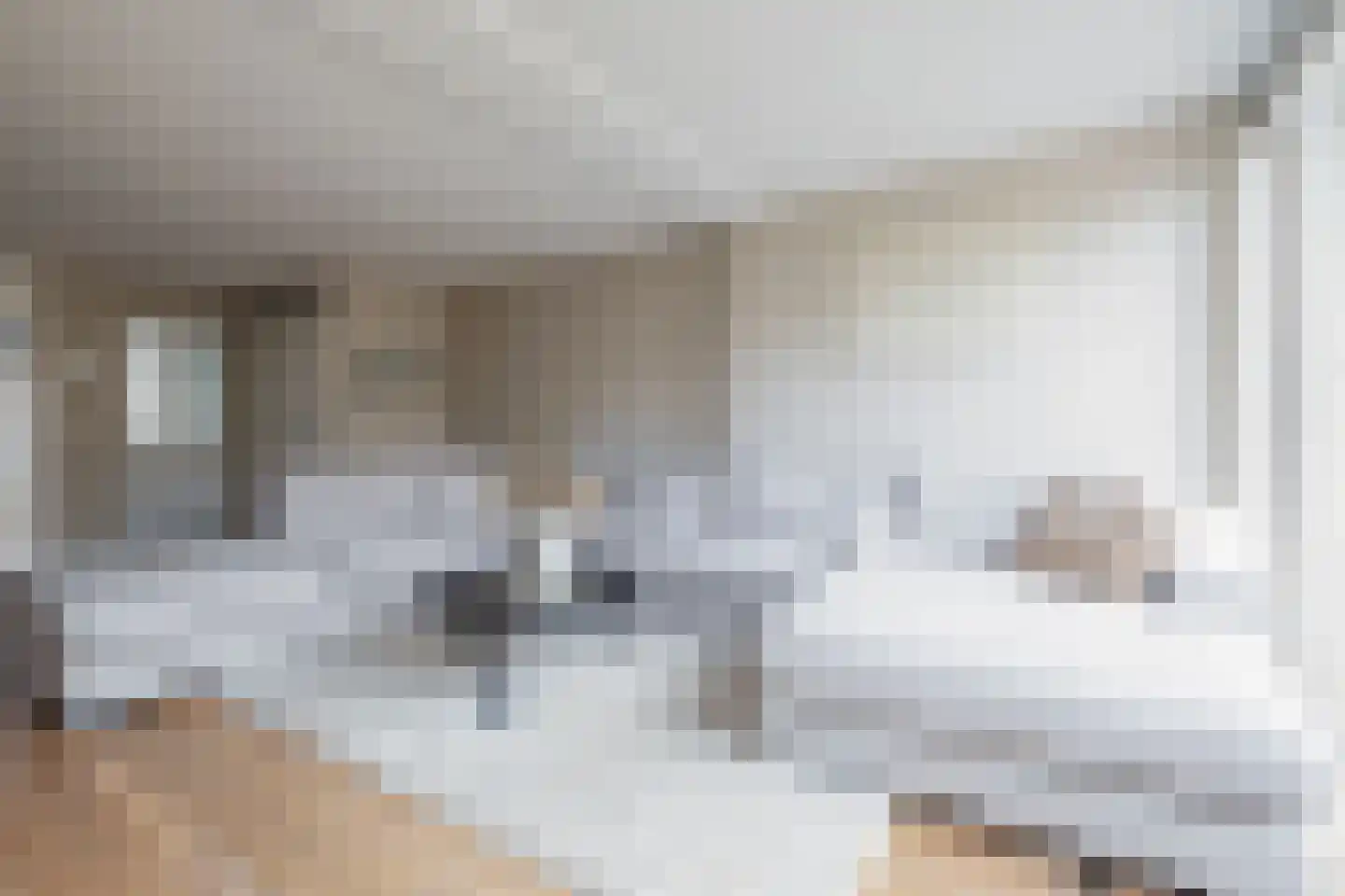 Schepenlaan 4 Mijnsheerenland thumbnail 4