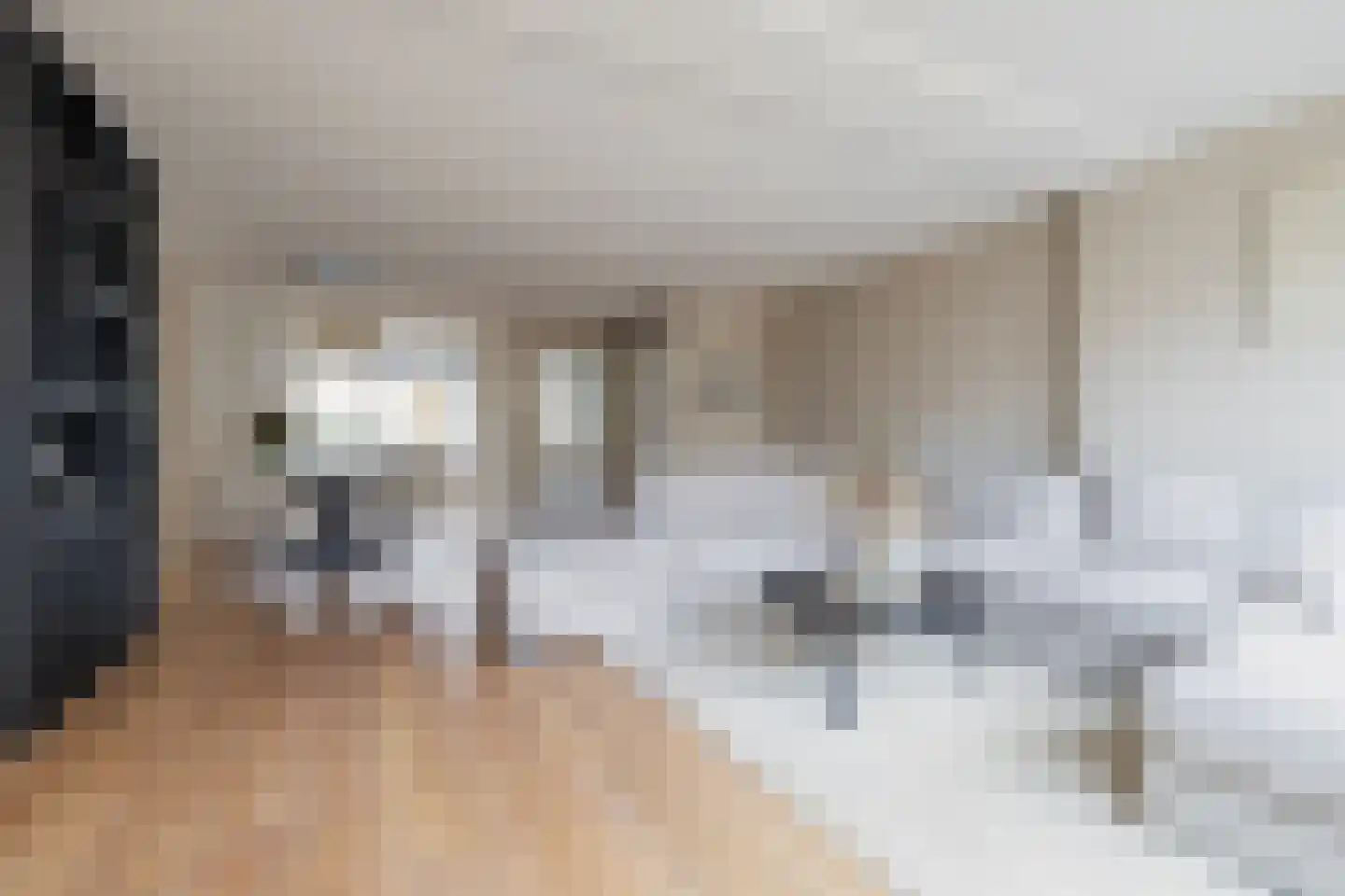 Schepenlaan 4 Mijnsheerenland thumbnail 5