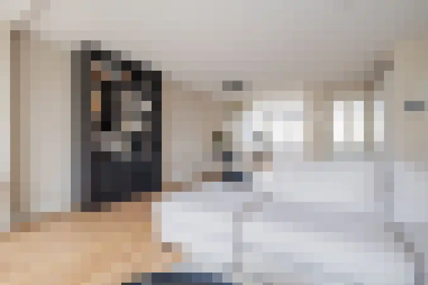 Schepenlaan 4 Mijnsheerenland thumbnail 6