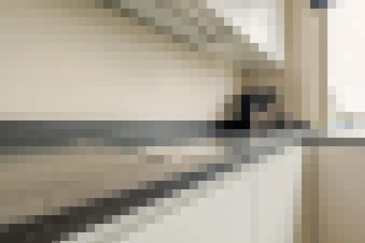 Schepenlaan 4 Mijnsheerenland thumbnail 9