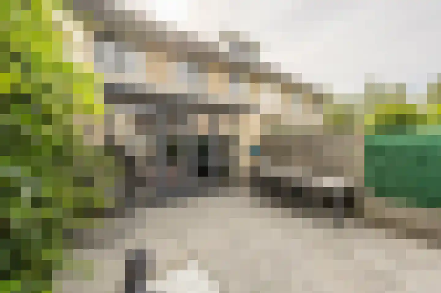 Schepenlaan 6 Mijnsheerenland thumbnail 13