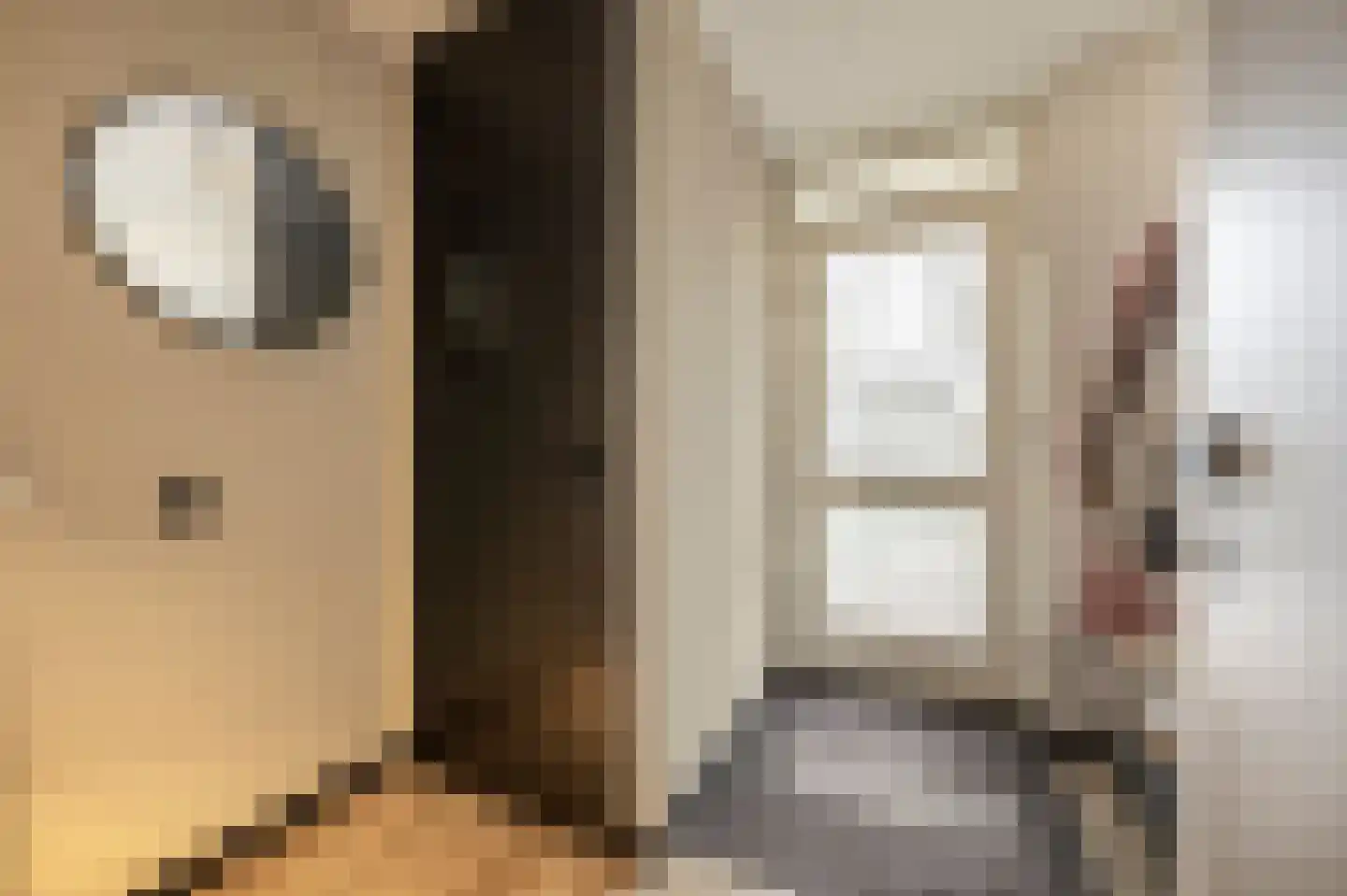 Schepenlaan 6 Mijnsheerenland thumbnail 14