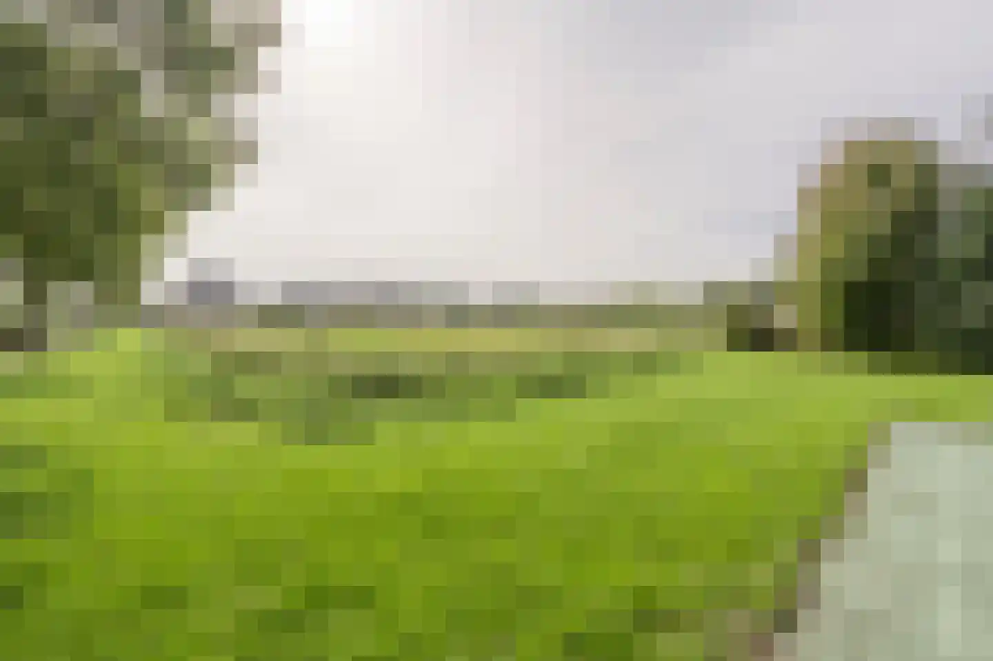 Schepenlaan 6 Mijnsheerenland thumbnail 28