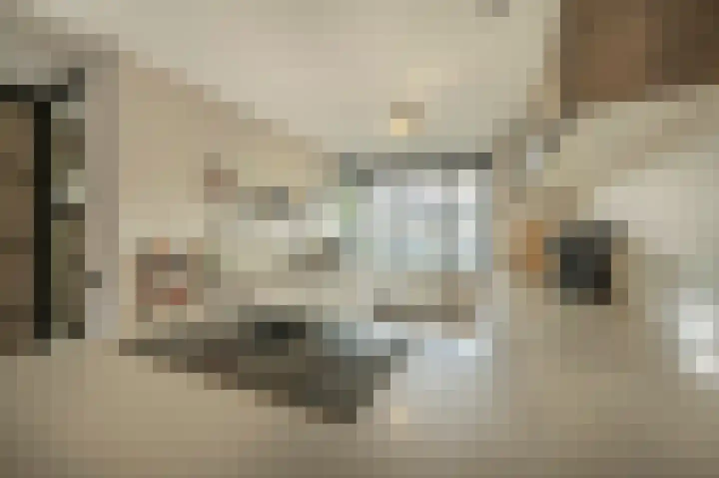Schepenlaan 6 Mijnsheerenland thumbnail 5