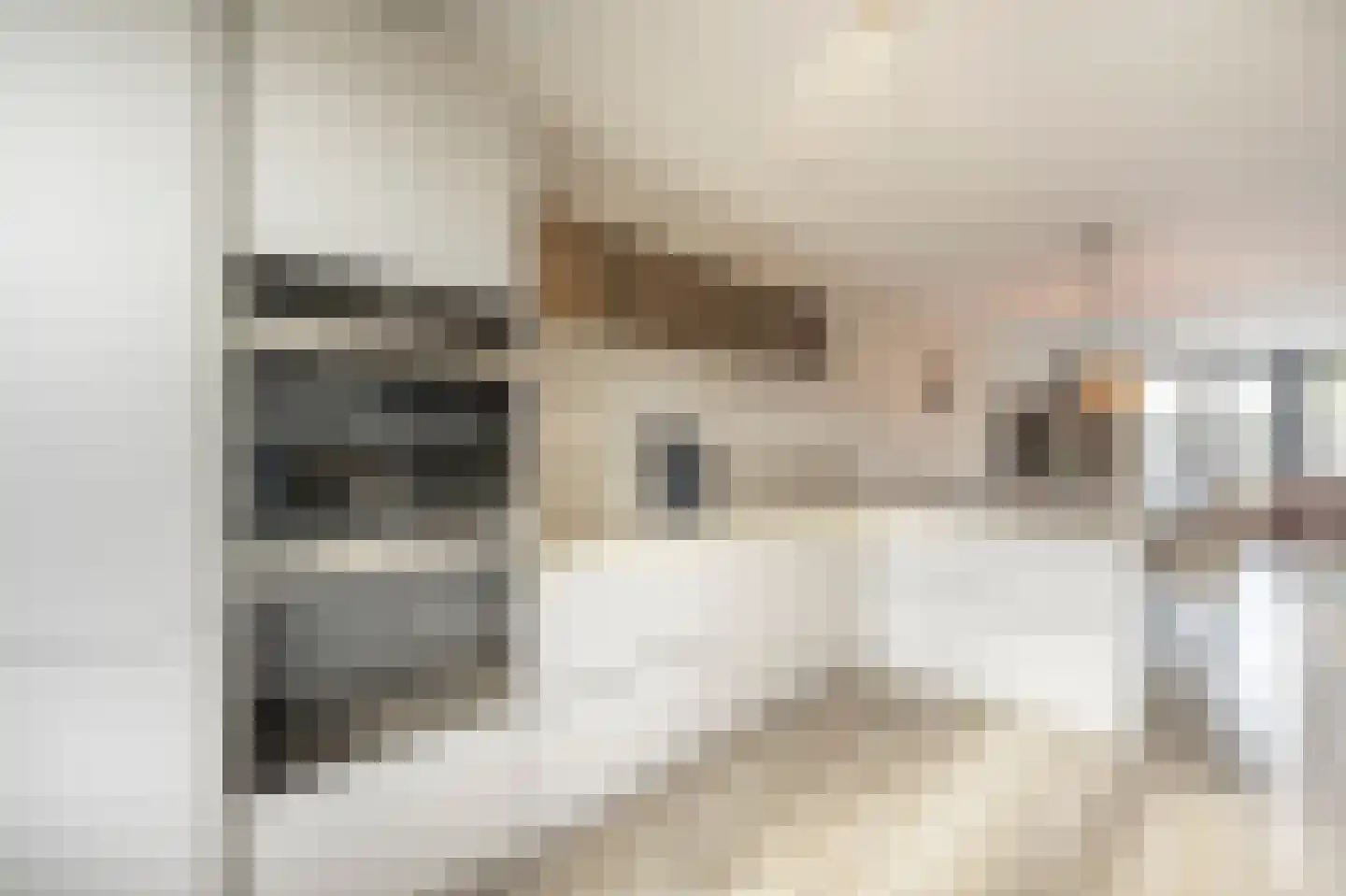 Schepenlaan 6 Mijnsheerenland thumbnail 6