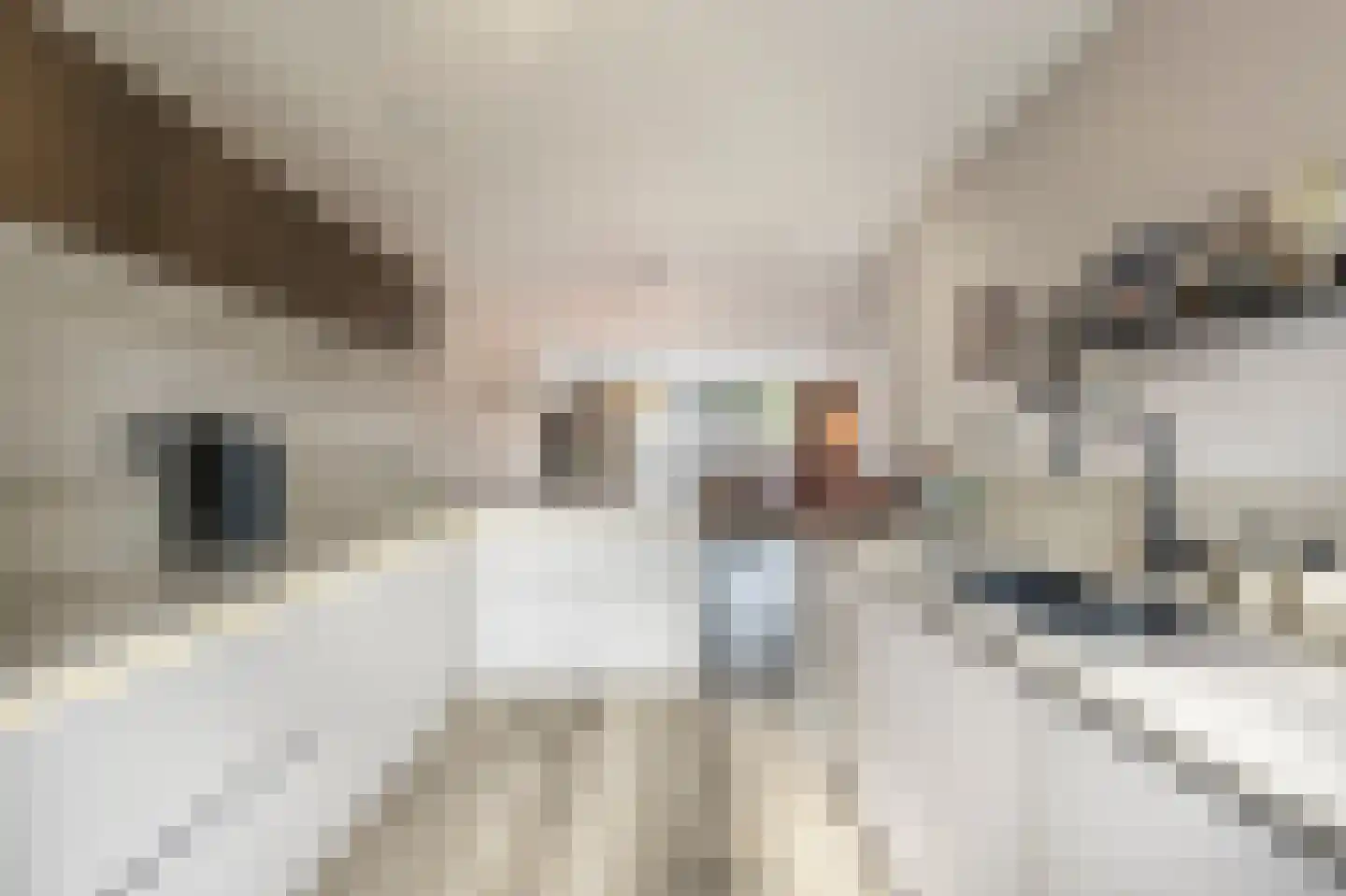 Schepenlaan 6 Mijnsheerenland thumbnail 7