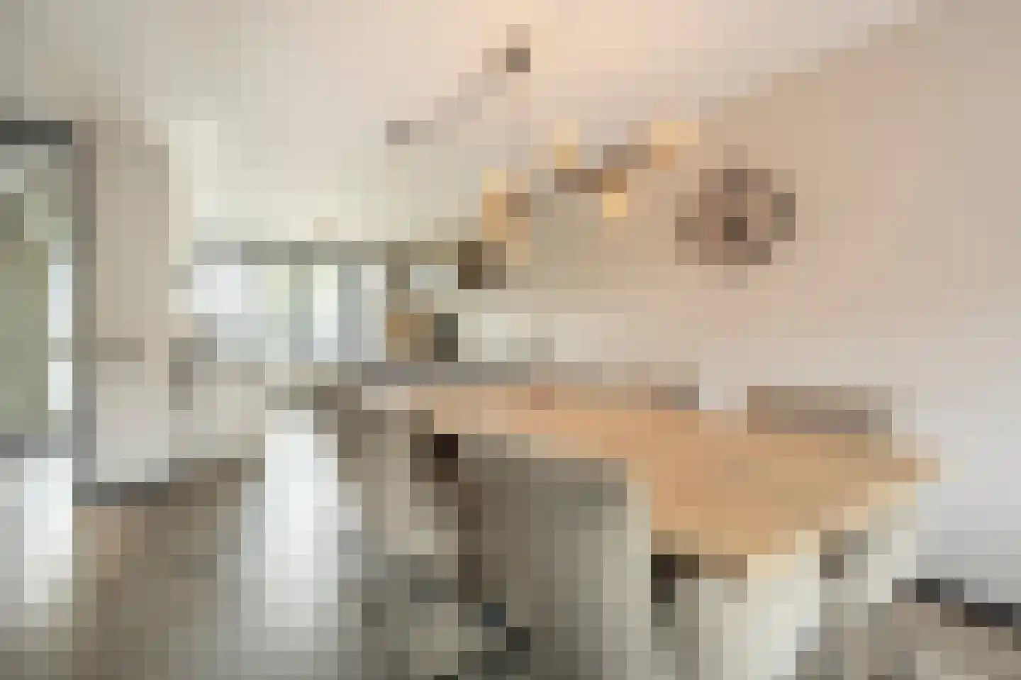 Schepenlaan 6 Mijnsheerenland thumbnail 8