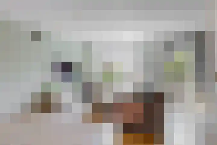 Schepenlaan 75 Medemblik thumbnail 6