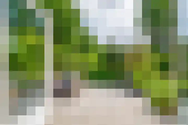 Schepenlaan 8 Norg thumbnail 15