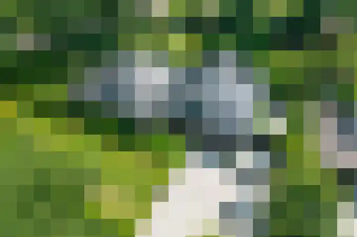 Schepenlaan 8 Norg foto 2