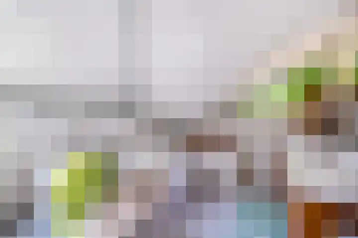 Schepenlaan 8 Norg thumbnail 27