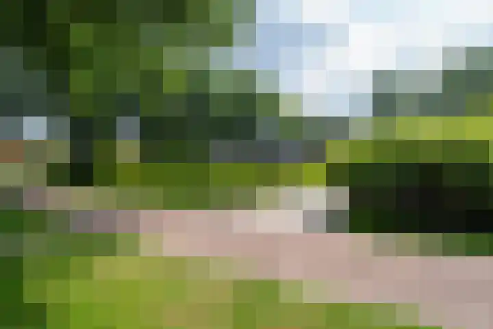 Schepenlaan 8 Norg foto 3