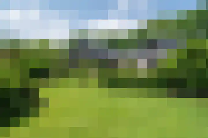 Schepenlaan 8 Norg thumbnail 32