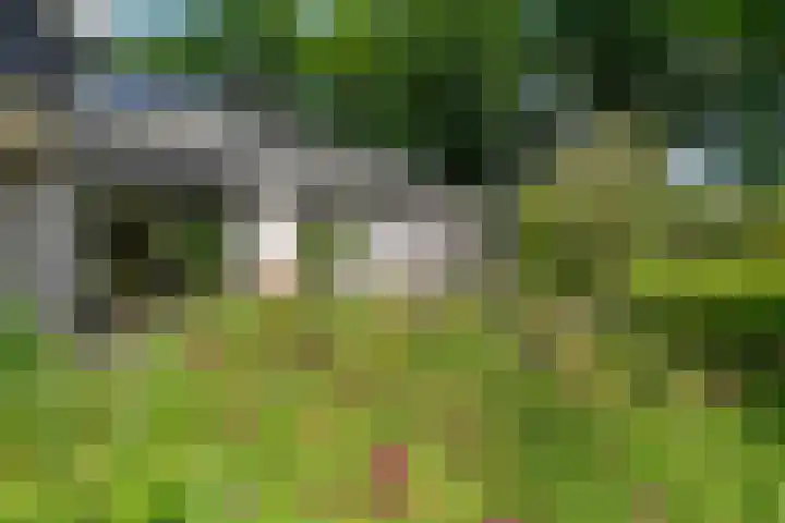 Schepenlaan 8 Norg thumbnail 33