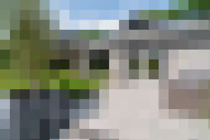 Schepenlaan 8 Norg thumbnail 34