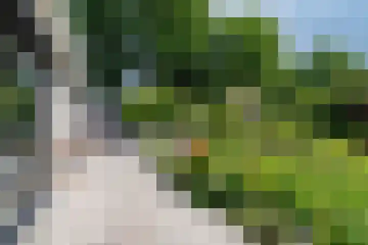 Schepenlaan 8 Norg thumbnail 35