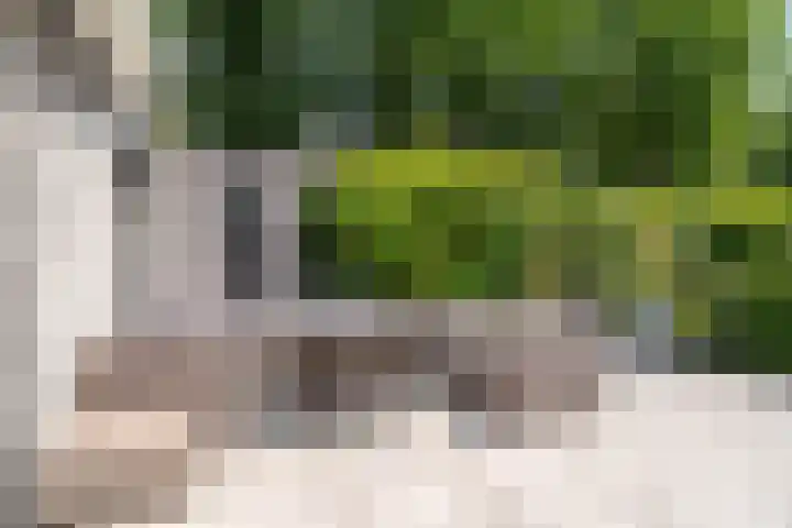 Schepenlaan 8 Norg thumbnail 36