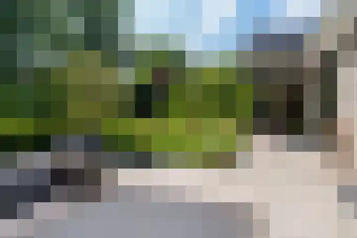 Schepenlaan 8 Norg thumbnail 37