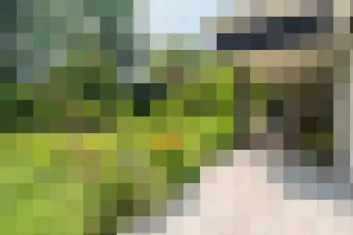 Schepenlaan 8 Norg thumbnail 38