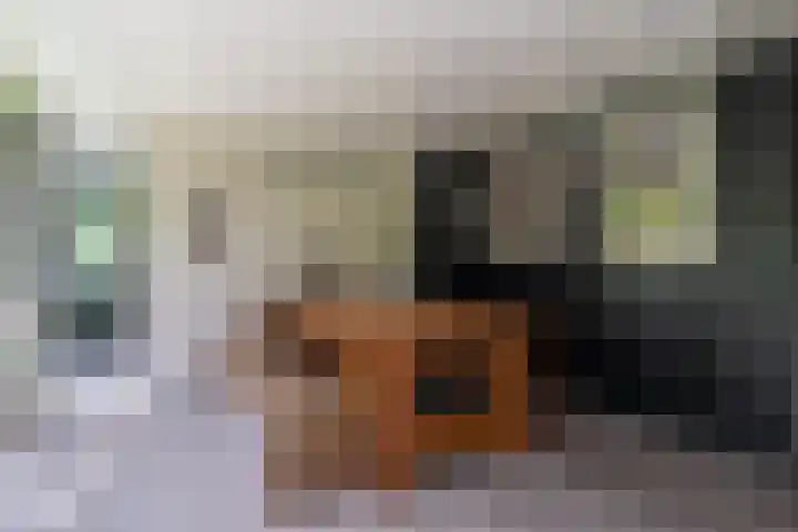 Schepenlaan 8 Norg thumbnail 39