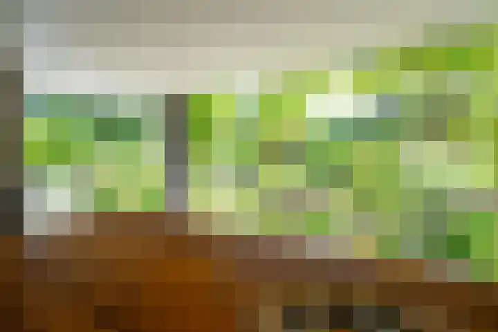 Schepenlaan 8 Norg thumbnail 40