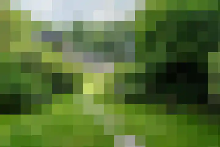 Schepenlaan 8 Norg thumbnail 41