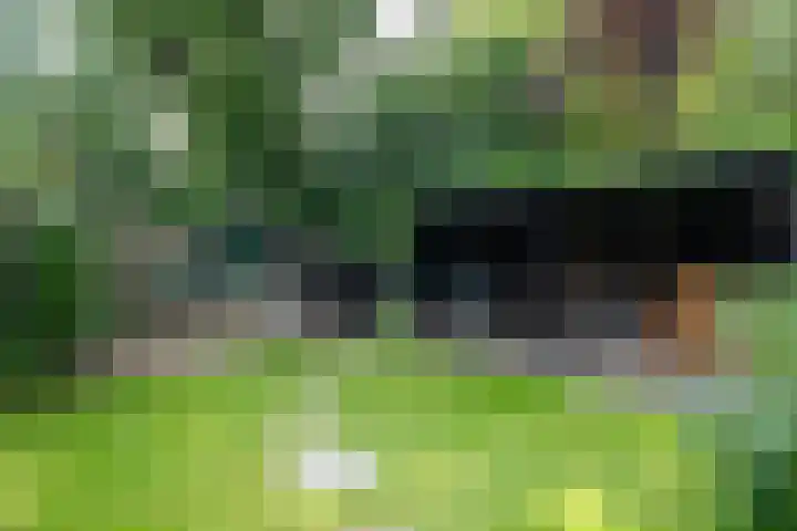Schepenlaan 8 Norg thumbnail 42