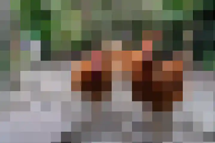 Schepenlaan 8 Norg thumbnail 43