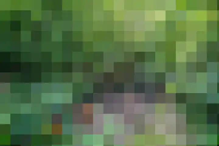 Schepenlaan 8 Norg thumbnail 44