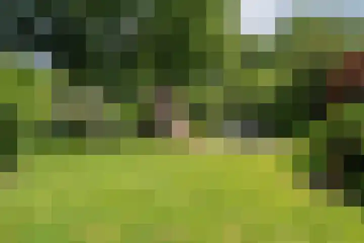 Schepenlaan 8 Norg thumbnail 45