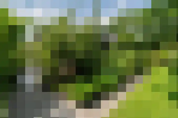 Schepenlaan 8 Norg thumbnail 46