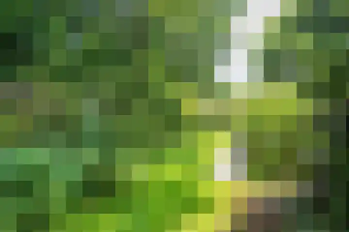 Schepenlaan 8 Norg thumbnail 47