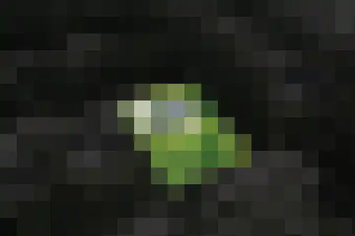 Schepenlaan 8 Norg thumbnail 48