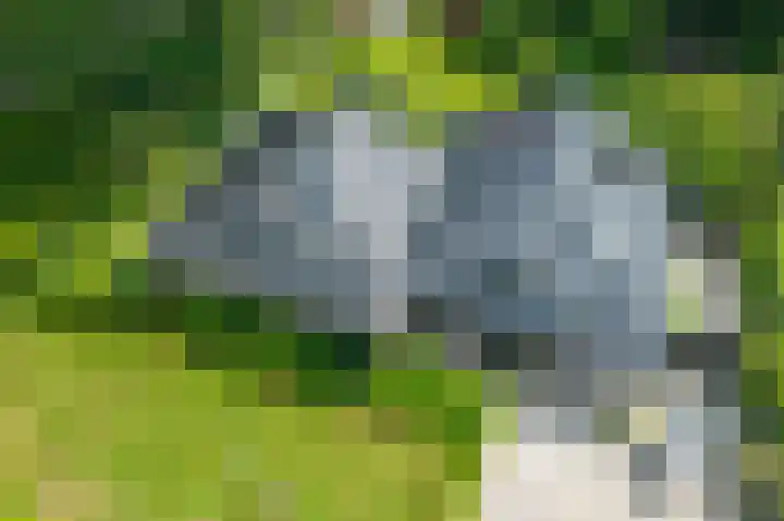 Schepenlaan 8 Norg thumbnail 49
