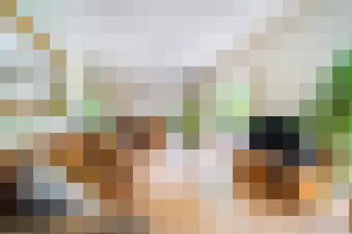 Schepenlaan 8 Norg thumbnail 9