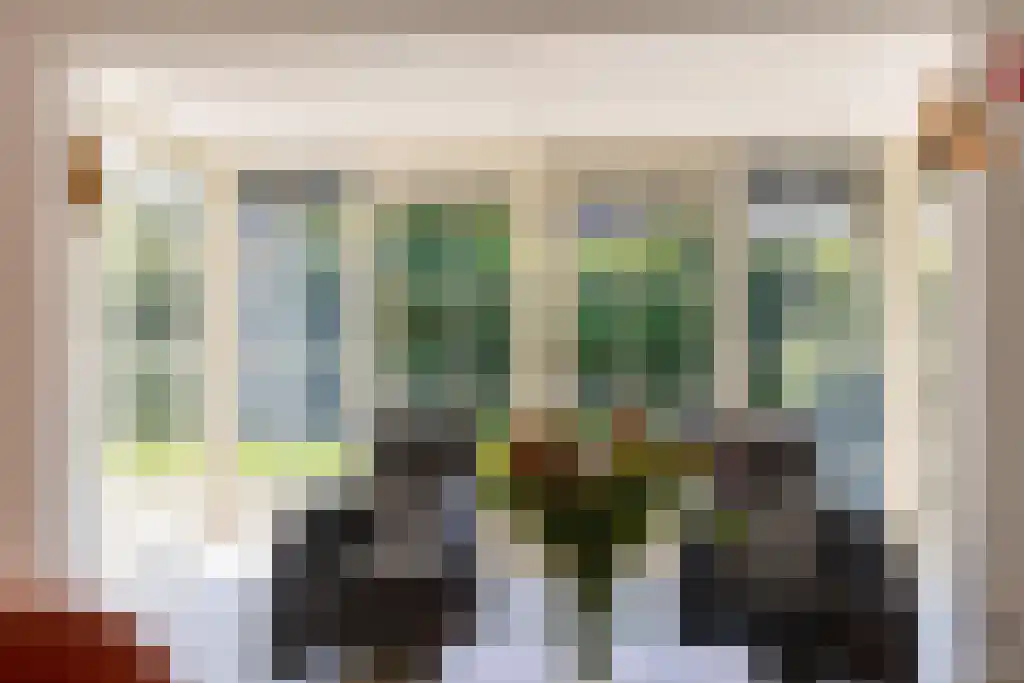 Schepenlaan 9 Mijnsheerenland thumbnail 12