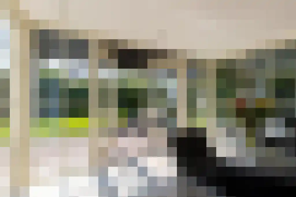 Schepenlaan 9 Mijnsheerenland thumbnail 13