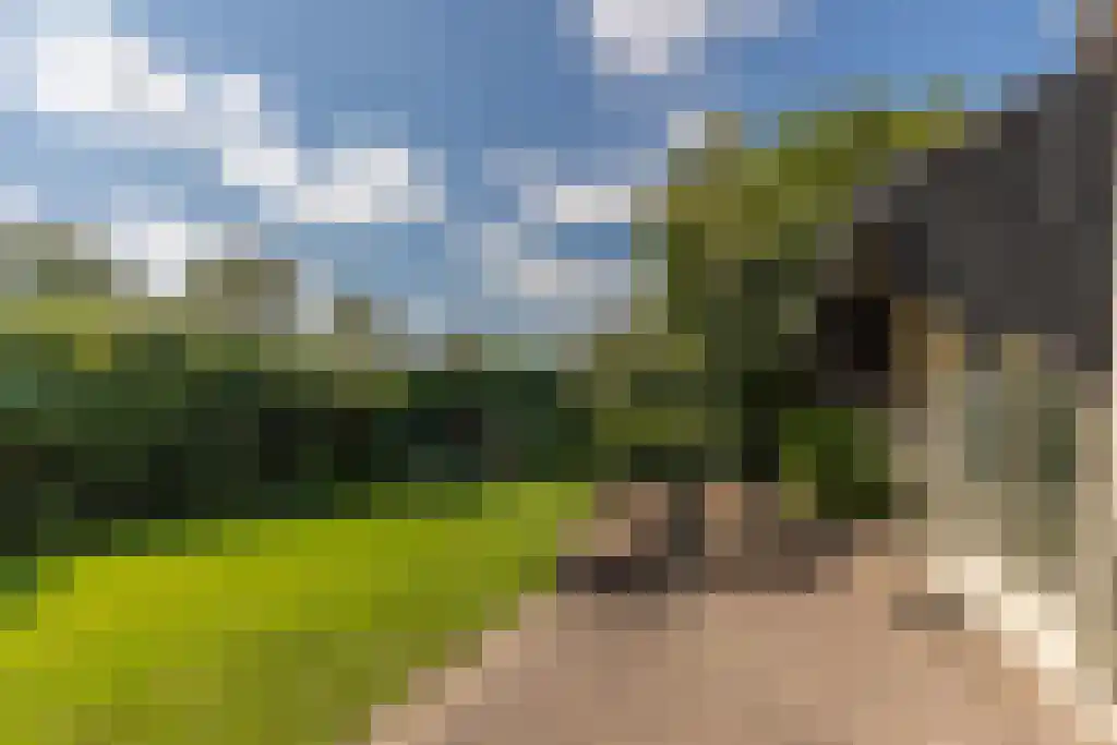 Schepenlaan 9 Mijnsheerenland thumbnail 14