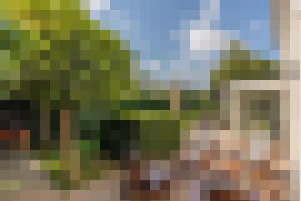 Schepenlaan 9 Mijnsheerenland thumbnail 16