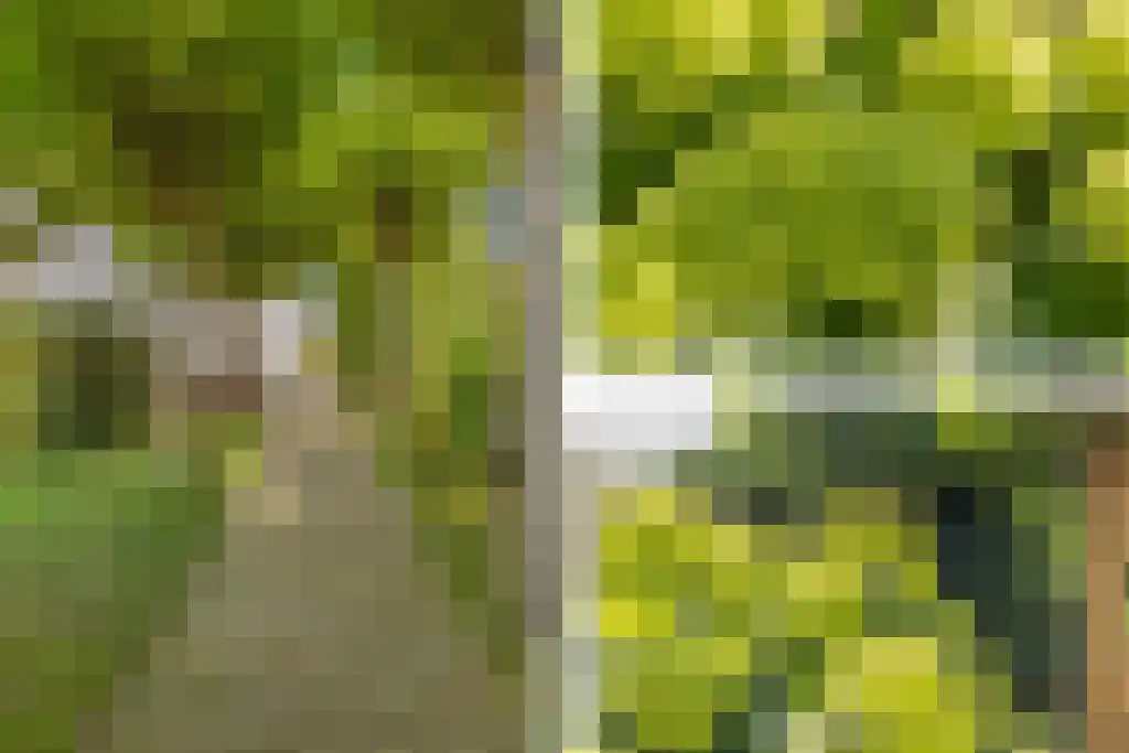 Schepenlaan 9 Mijnsheerenland thumbnail 17