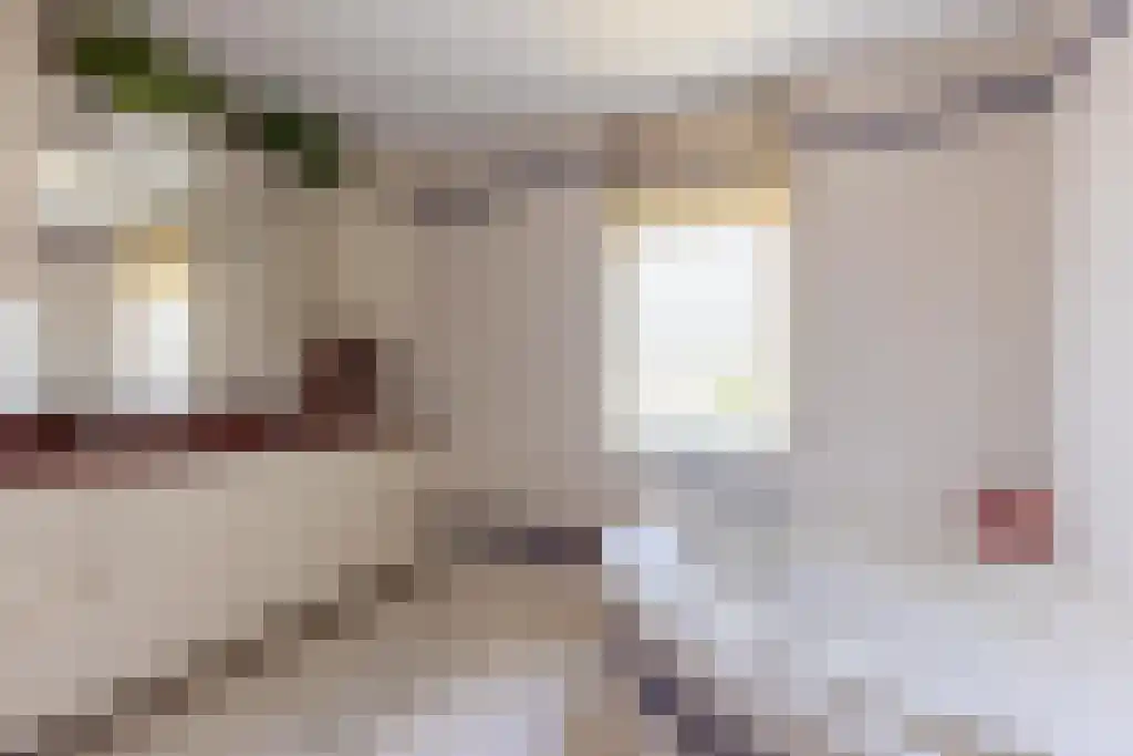 Schepenlaan 9 Mijnsheerenland thumbnail 22