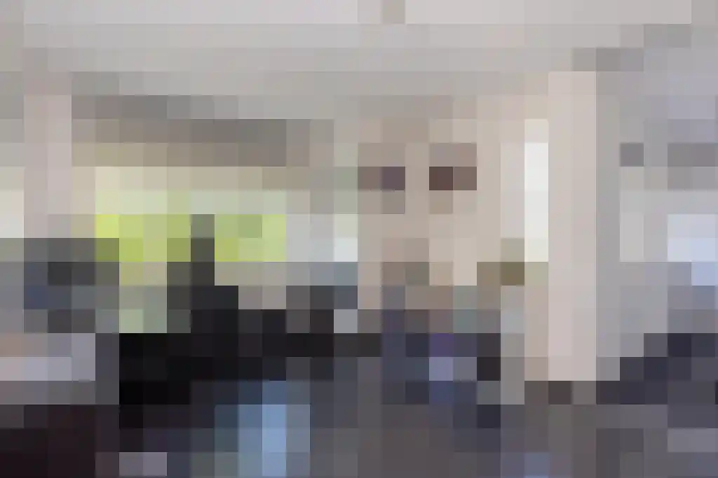 Schepenlaan 9 Mijnsheerenland thumbnail 25