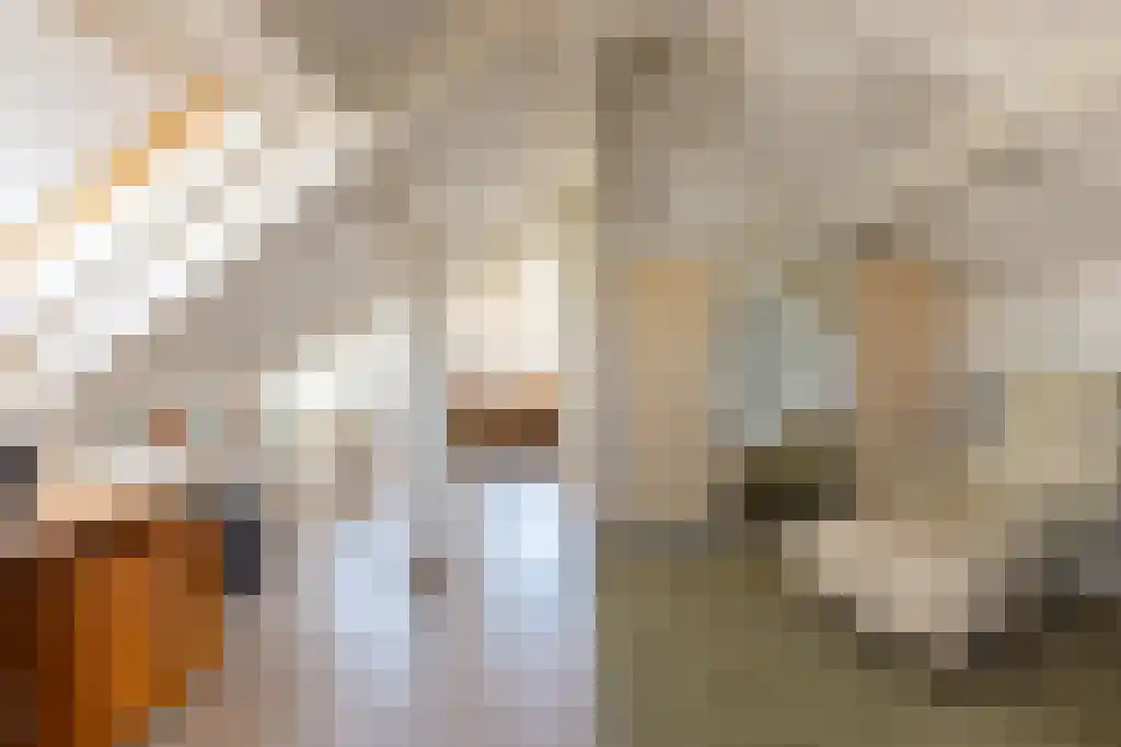 Schepenlaan 9 Mijnsheerenland thumbnail 31