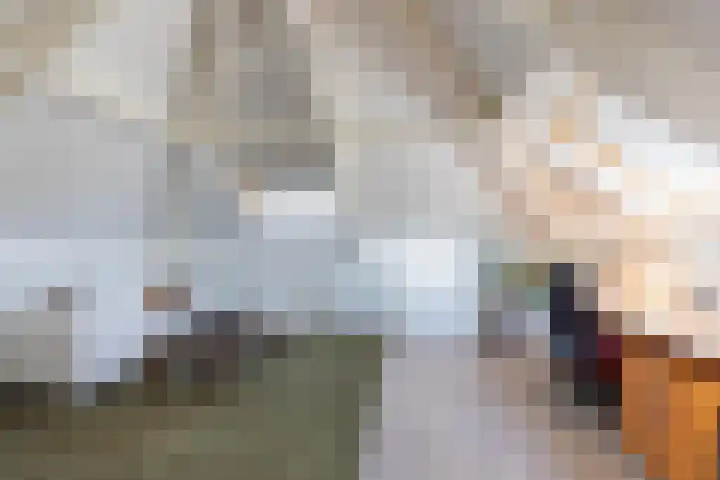 Schepenlaan 9 Mijnsheerenland thumbnail 32