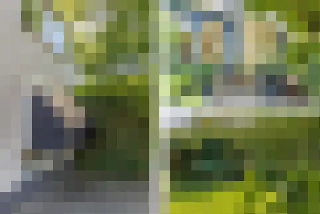 Schepenlaan 9 Mijnsheerenland thumbnail 6