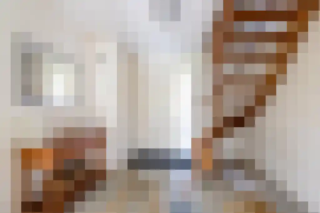 Schepenlaan 9 Mijnsheerenland thumbnail 7