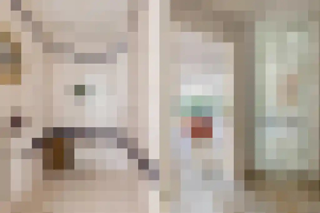 Schepenlaan 9 Mijnsheerenland thumbnail 8
