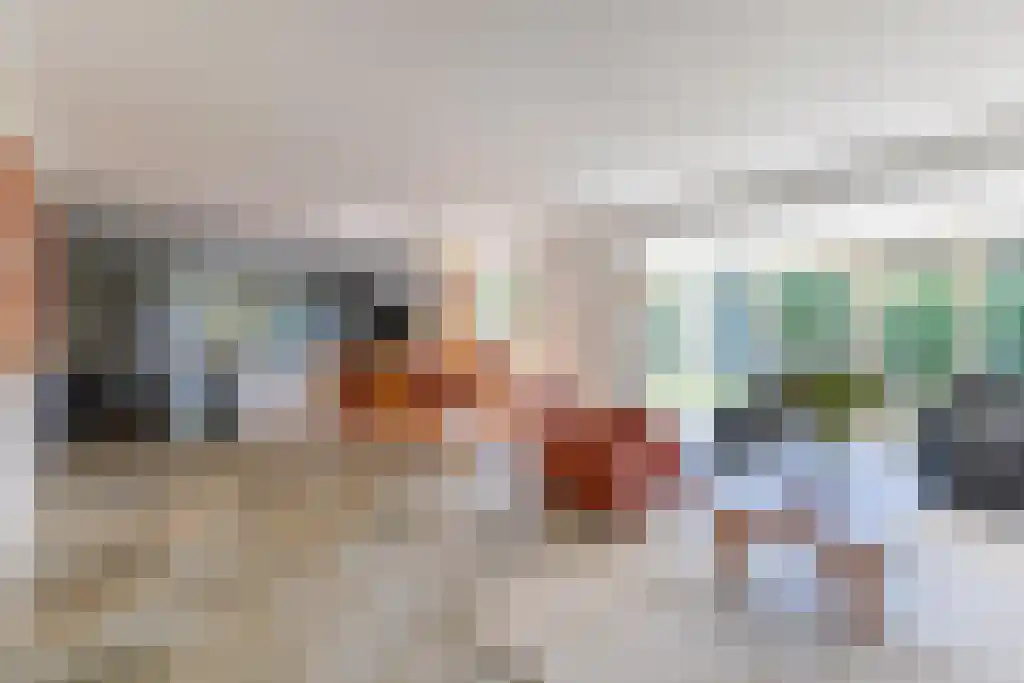 Schepenlaan 9 Mijnsheerenland thumbnail 9